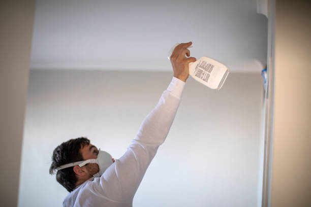 Best Mold Damage Repair  in Pacolet, SC